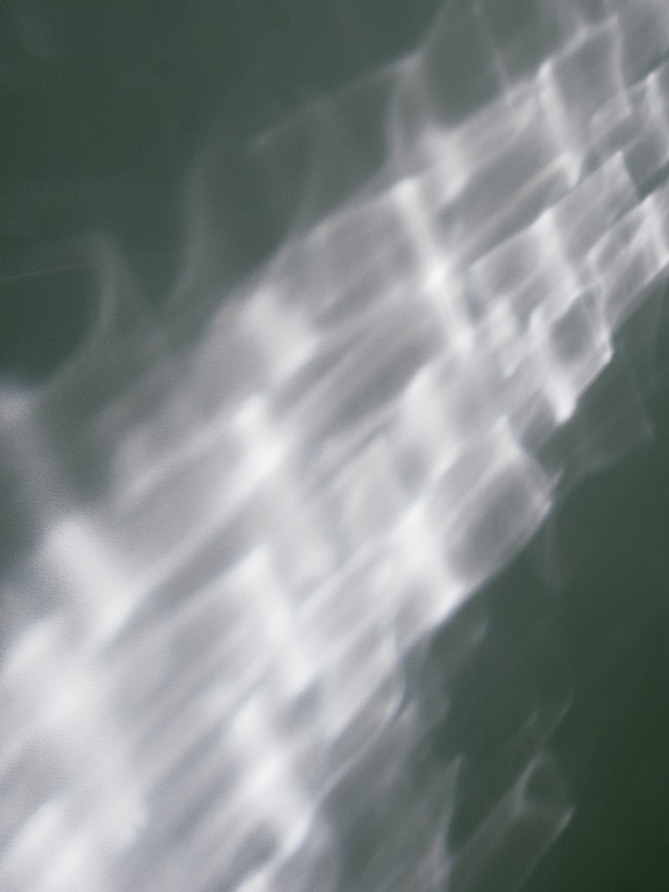 saharaサハラ公式サイト　コレクションルックブック